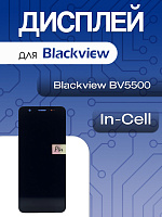 Дисплей для Blackview BV5500 в сборе с тачскрином черный